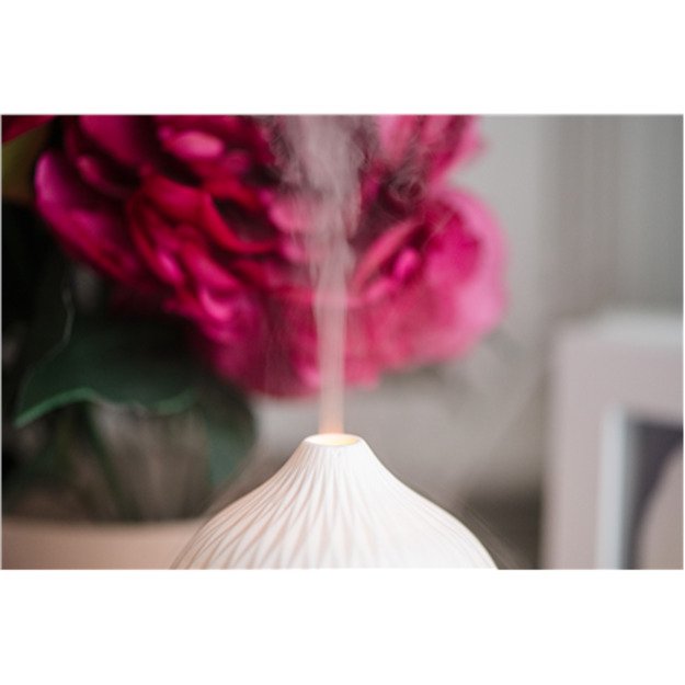 Camry | Ultrasonic aroma diffuser 3in1 | CR 7970 | Ultrasonic | Suitable for rooms up to 25 m&sup2; | White