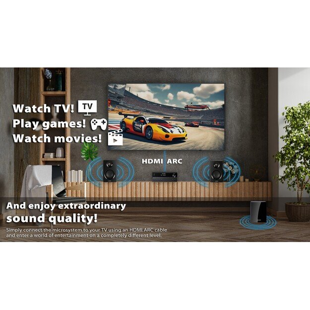 Microsystem BLAUPUNKT MS55SUB 1