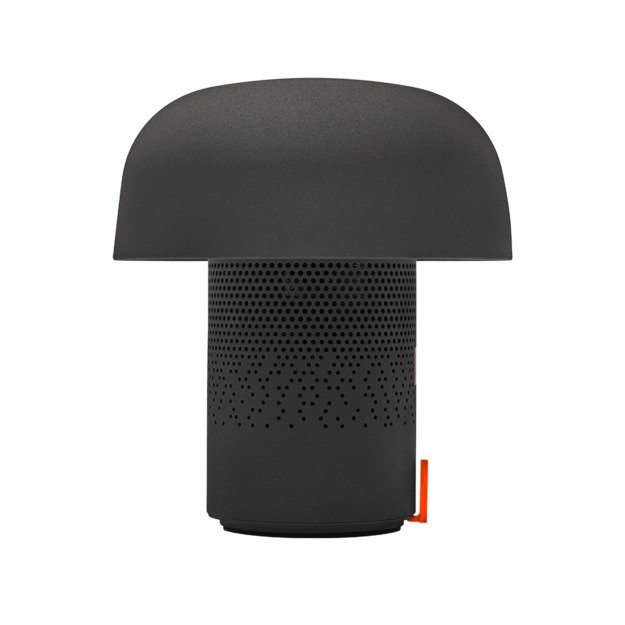 SOUND BY JBL Sensa Play kolonėlė/&scaron;viestuvas su JBL garso sistema, Anthracite