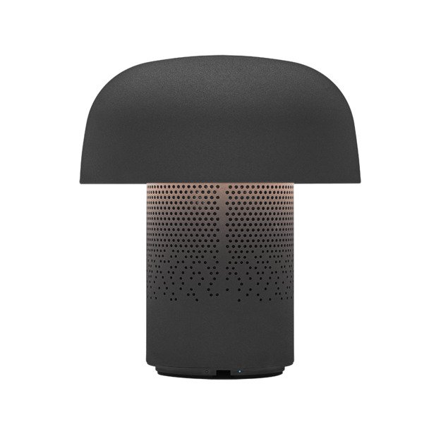 SOUND BY JBL Sensa Play kolonėlė/&scaron;viestuvas su JBL garso sistema, Anthracite