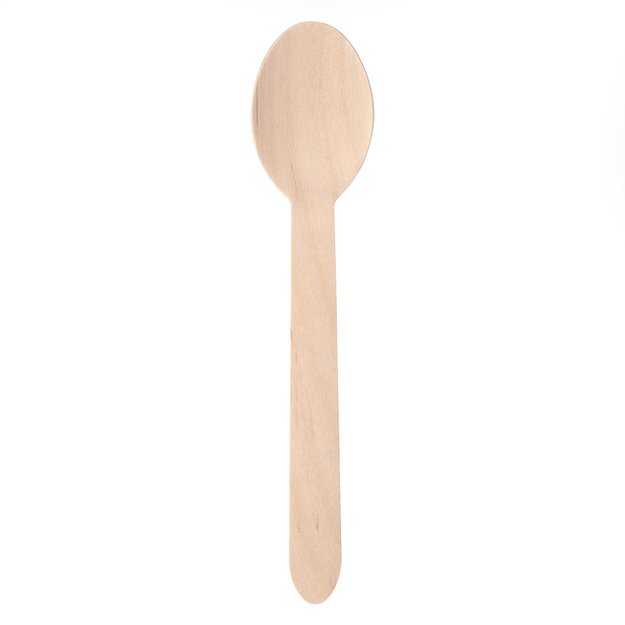 Disposable spoon, 16 cm, 100 pcs