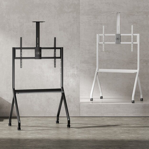 Maclean TV stand / cart, camera shelf, on casters, 55-100 , max load 120kg/10kg shelf, max. VESA 900x600, white, MC-114 W