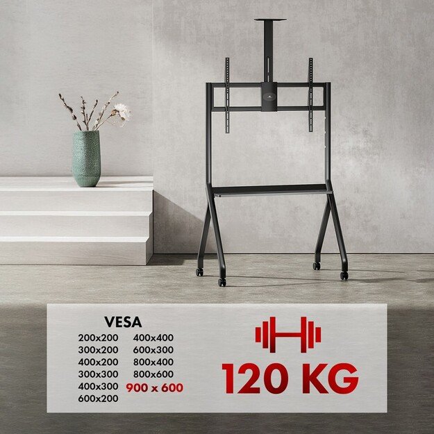Maclean TV stand / cart, camera shelf, on casters, 55-100 , max load 120kg/10kg shelf, max. VESA 900x600, black, MC-114 B