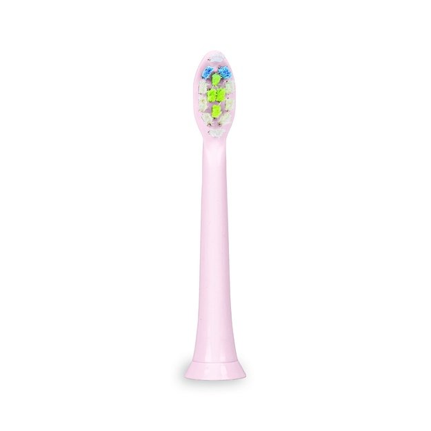 Zelmer ZTB8010P