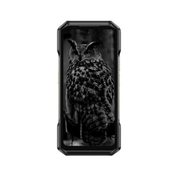 Smartphone Ulefone Armor 27 4G LTE 12GB/256GB (black) without charger