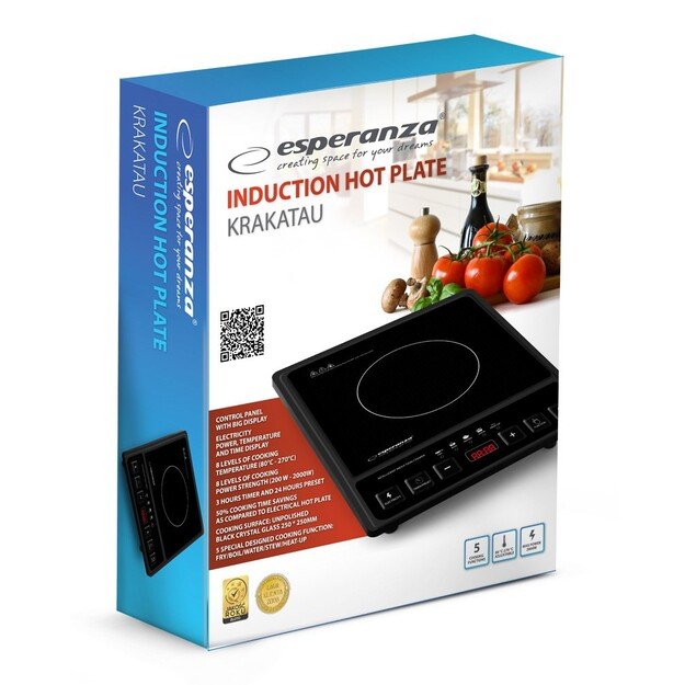 Esperanza EKH011 Black induction cooker 1