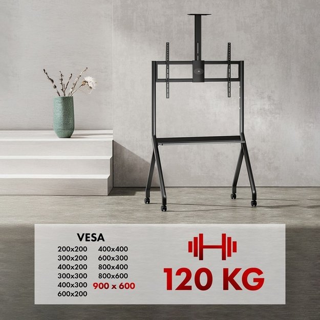 Maclean TV stand / cart, camera shelf, on casters, 55-100 , max load 120kg/10kg shelf, max. VESA 900x600, black, MC-114 B