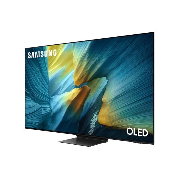 SAMSUNG TV OLED 55inch QE55S95FATXXH 2