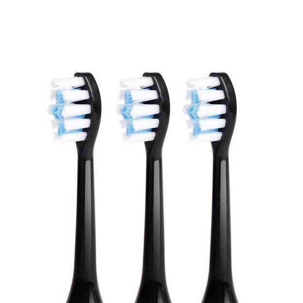 Promedix PR-750 B Electric Sonic Toothbrush IPX7 Black, Travel Case, 5 Operation Modes, Timer, 3 Power Levels, 3 Exchangable
