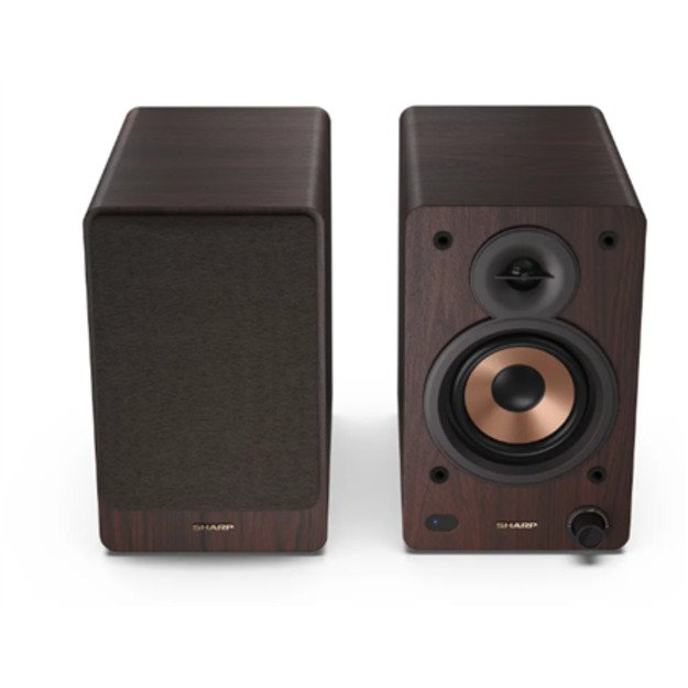 Sharp CP-SS30 Bookshelf Speakers 9
