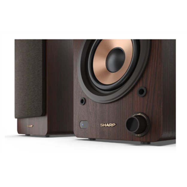 Sharp CP-SS30 Bookshelf Speakers 3