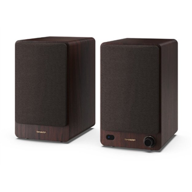 Sharp CP-SS30 Bookshelf Speakers 7