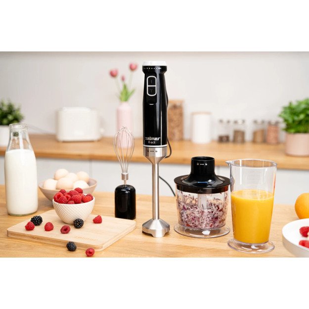 Zelmer ZHB4632 X-act