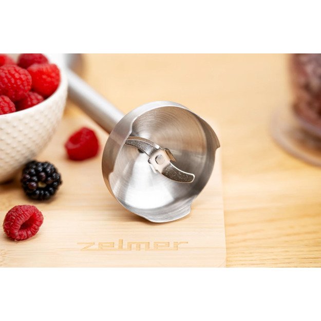 Zelmer ZHB4632 X-act