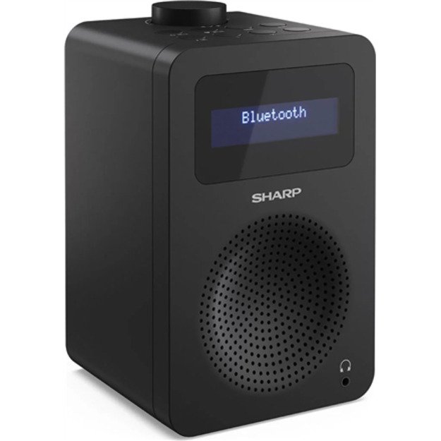 Sharp DR-430(BK) Digital Radio