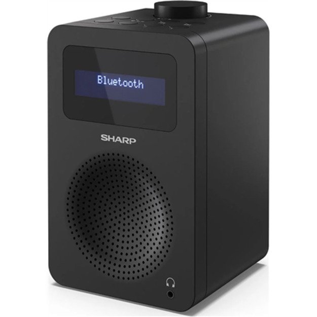 Sharp DR-430(BK) Digital Radio