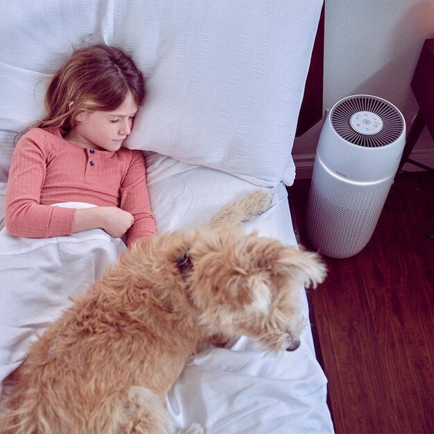 Homedics AP-PET35WT-EU TotalClean PetPlus 5 in 1 Air Purifier