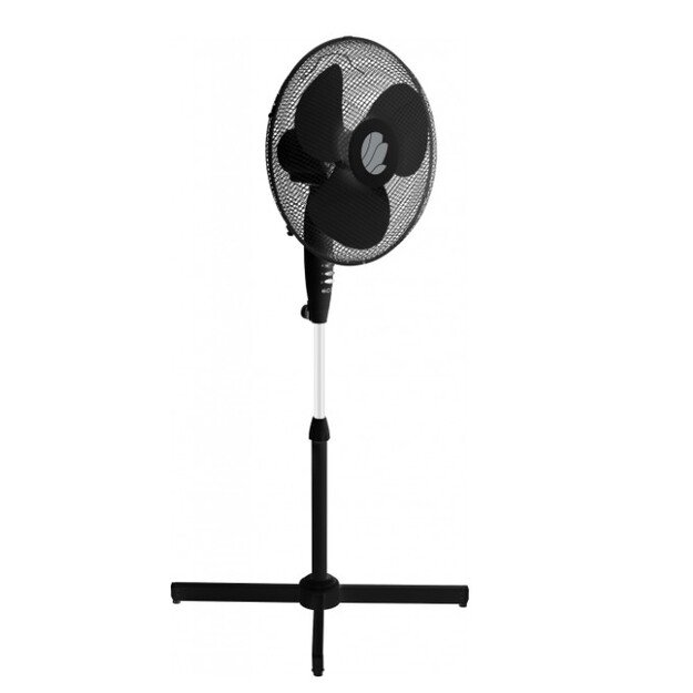 ECG FS 40a RB Black 3