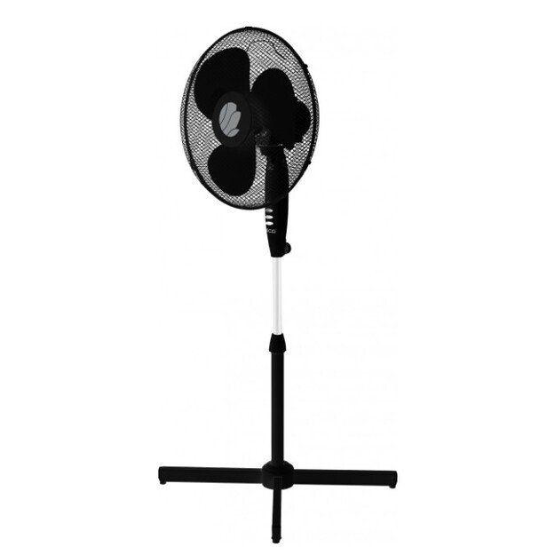 ECG FS 40a RB Black 1