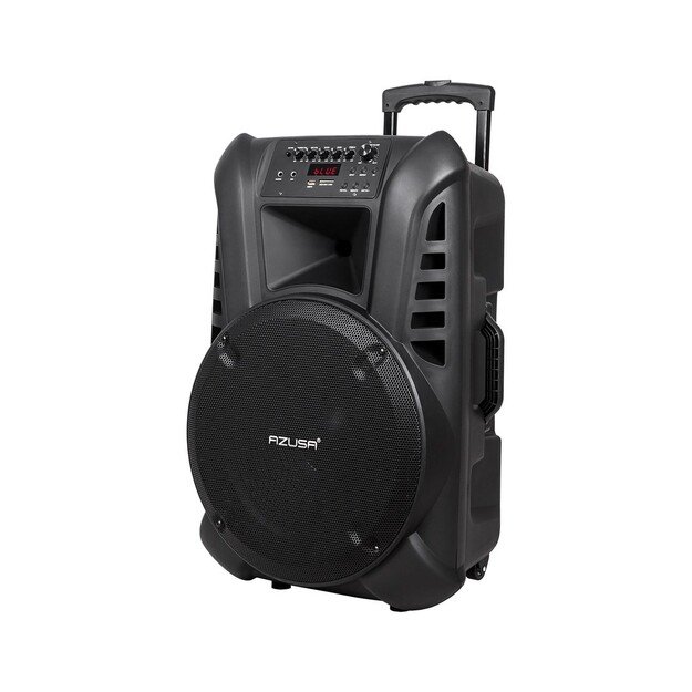 Active loudspeaker (with 2 wireless microphones, SD, Bluetooth, USB) 15&quot, 120W
