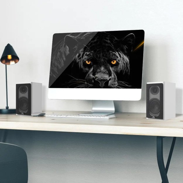 Laudberg XS1W bookshelf speakers 2.0 80W white 2