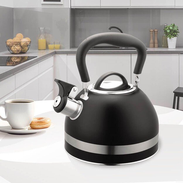 Maestro MR-1336 (MR-1336-BLACK) kettle 1.8 L Black 5