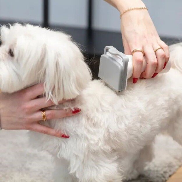 MPM MOD-100 HOME CARE DEVICE FOR DOGS AND CATS 2