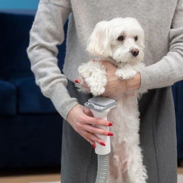 MPM MOD-100 HOME CARE DEVICE FOR DOGS AND CATS 17