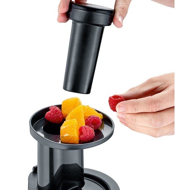 Severin ES 3571 juice maker Slow juicer 150 W Black, Grey, Metallic, Stainless steel
