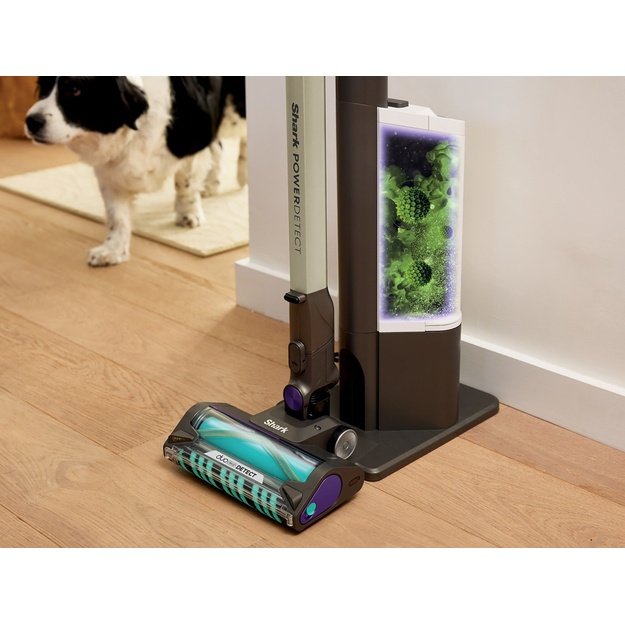 Upright vacuum cleaner IP3251EU SHARK