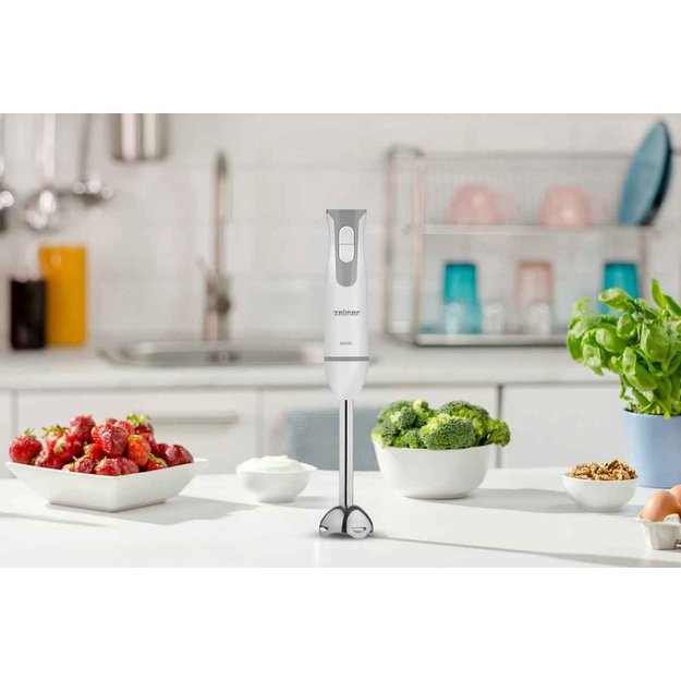 Zelmer ZHB4555 Hand Blender