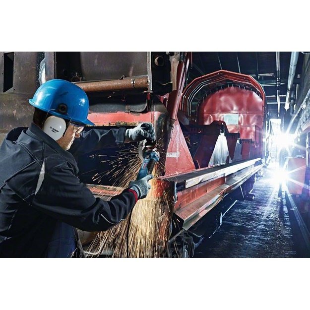 Kampinis &scaron;lifuoklis FI 125 1900W GWS 19-125 CIE BOSCH