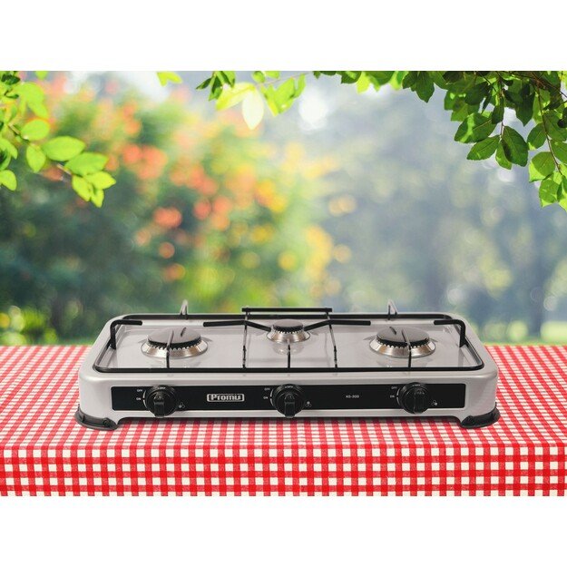 Gas stove PROMIS KG300 SILVER WITHOUT REDUCER 1