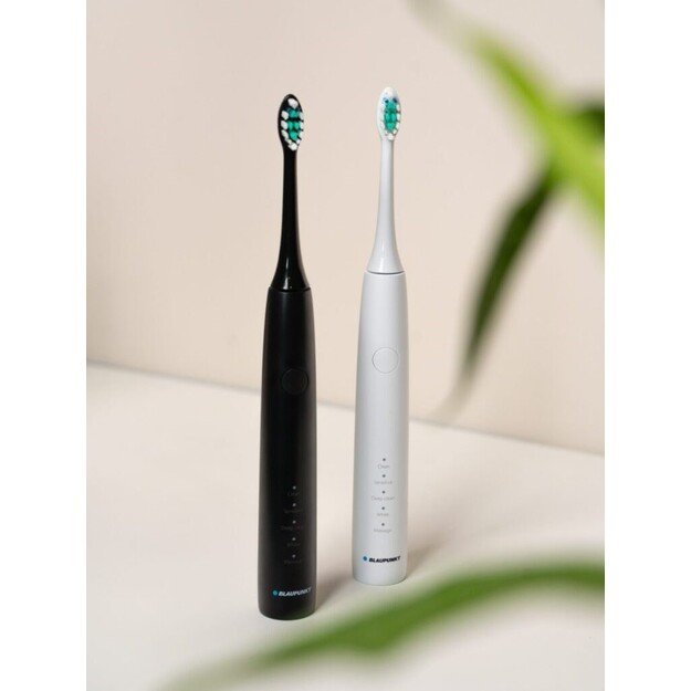 Blaupunkt DTS201WH electric toothbrush, white 4