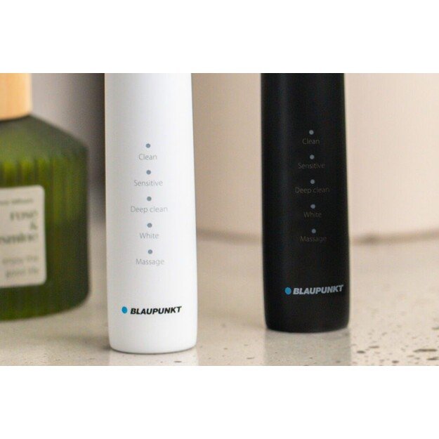 Blaupunkt DTS201WH electric toothbrush, white 1