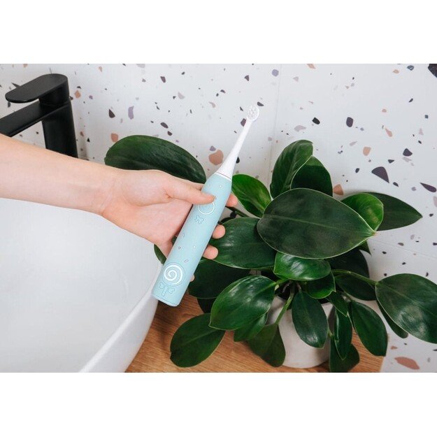 El. dantų &scaron;epetėlis ZK6020 CONCEPT 9