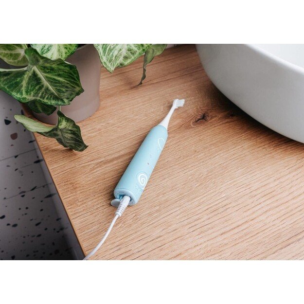 El. dantų &scaron;epetėlis ZK6020 CONCEPT 10