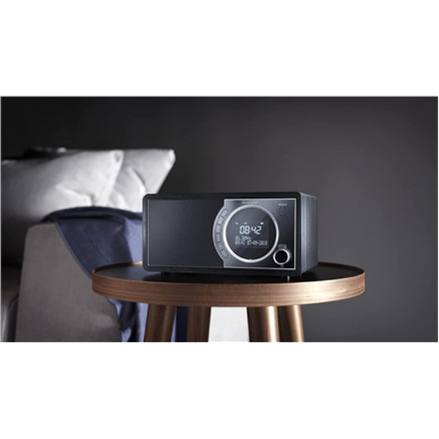 Sharp DR-450(BK) Digital Radio 1