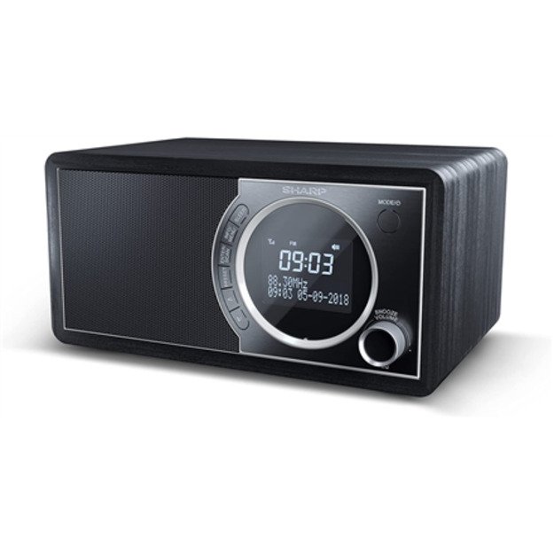 Sharp DR-450(BK) Digital Radio 4