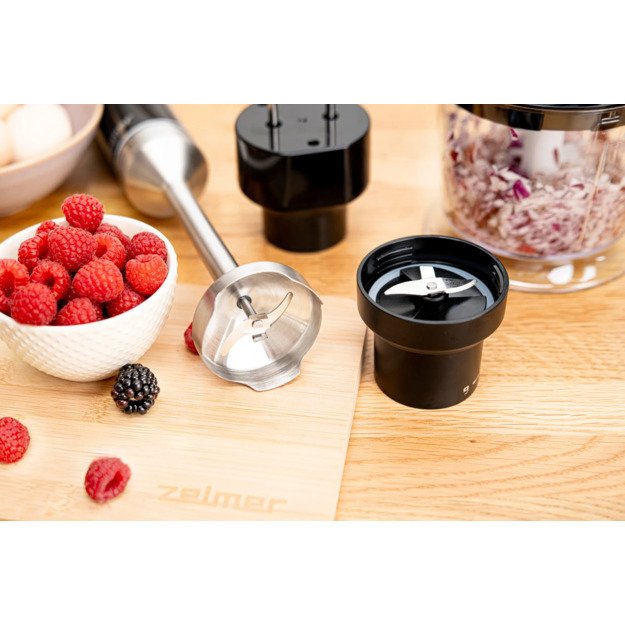 Zelmer ZHB4642 X-act