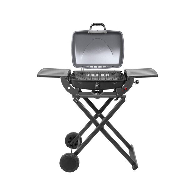 1-burner gas barbecue eesa BBQ 1000