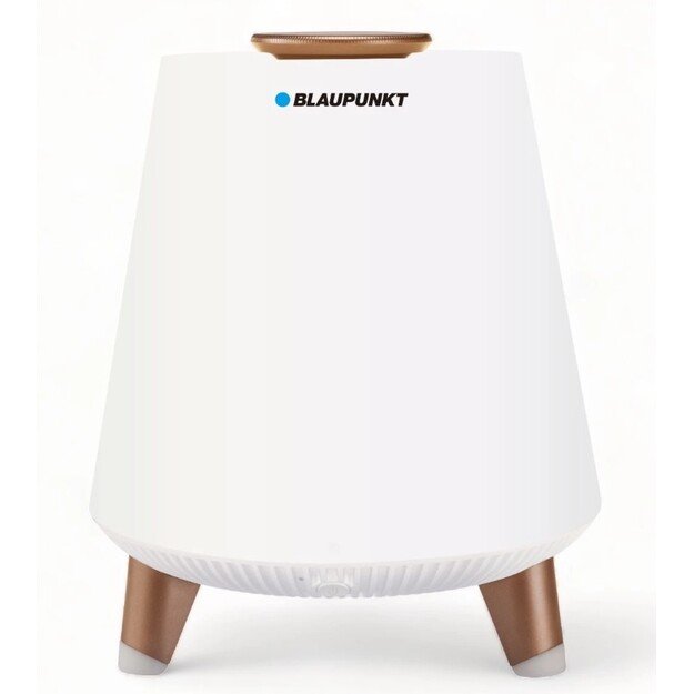 BLAUPUNKT BT25LAMP