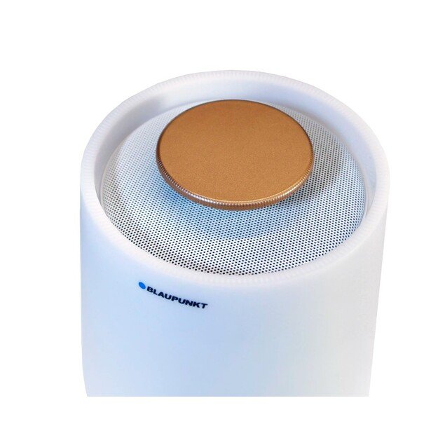 BLAUPUNKT BT25LAMP 2