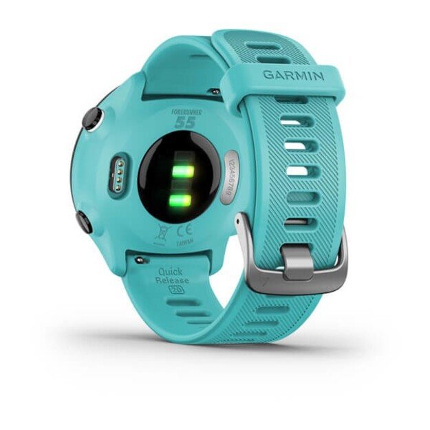 Garmin Forerunner 55 2.64 cm (1.04 ) MIP 42 mm Digital 208 x 208 pixels GPS (satellite)