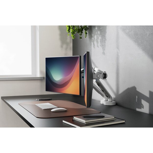 DIGITUS Dual Monitor Mount 2x35inch 2x10kg Mechanical Spring VESA 75x75 100x100 White