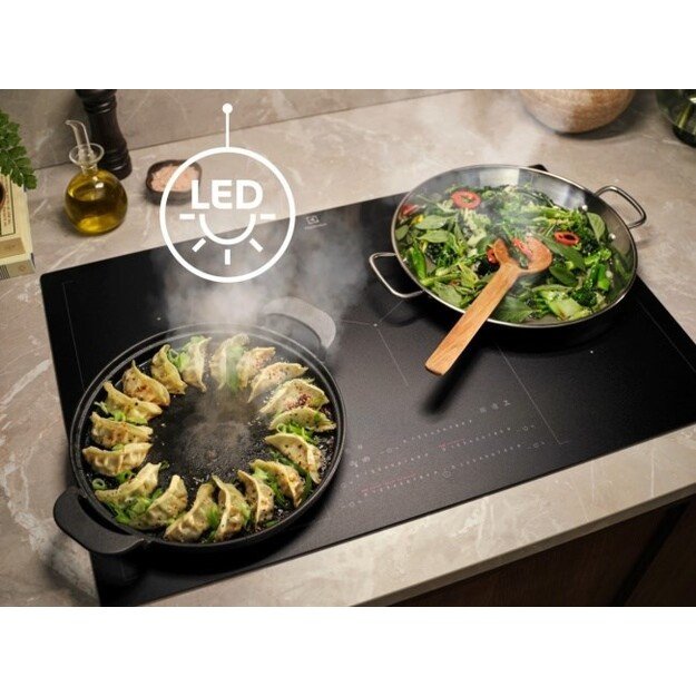 Gartraukis ELECTROLUX LFP336K
