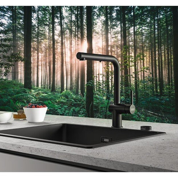 FRANKE Active 115.0653.382, juodas matinis 3