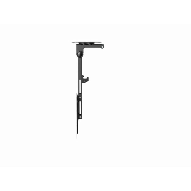 Gembird CM-55ST-01 Full motion TV ceiling mount, 23  - 55 , black