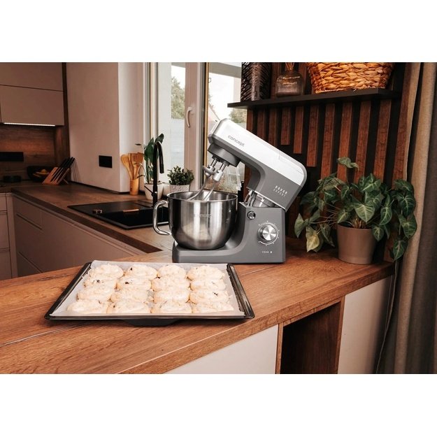 Planetary mixer 1900W RM6000 CONCEPT