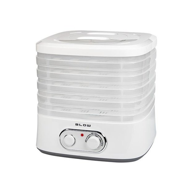 Dryer for mushrooms, vegetables and fruits